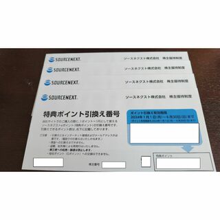 ソースネクスト　株主優待　8000ポイント分(ショッピング)