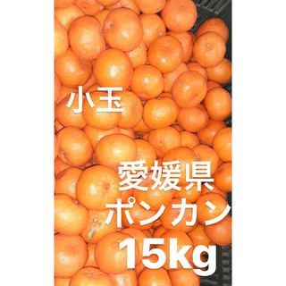 愛媛県産　ポンカン　柑橘　家庭用　15kg(フルーツ)