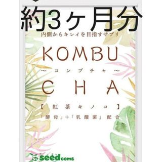 コンブチャ約3ヶ月分　KOMBUCHA　菌活　腸活　麹　ダイエット(ダイエット食品)