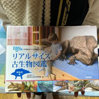 2200→2100古生物のサイズが実感できる！リアルサイズ古生物図鑑　中生代編(科学/技術)