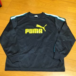 プーマ(PUMA)の１４０プーマ(Tシャツ/カットソー)