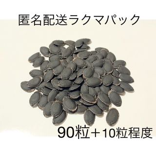 ヘチマ種（90粒＋10粒程度）(野菜)