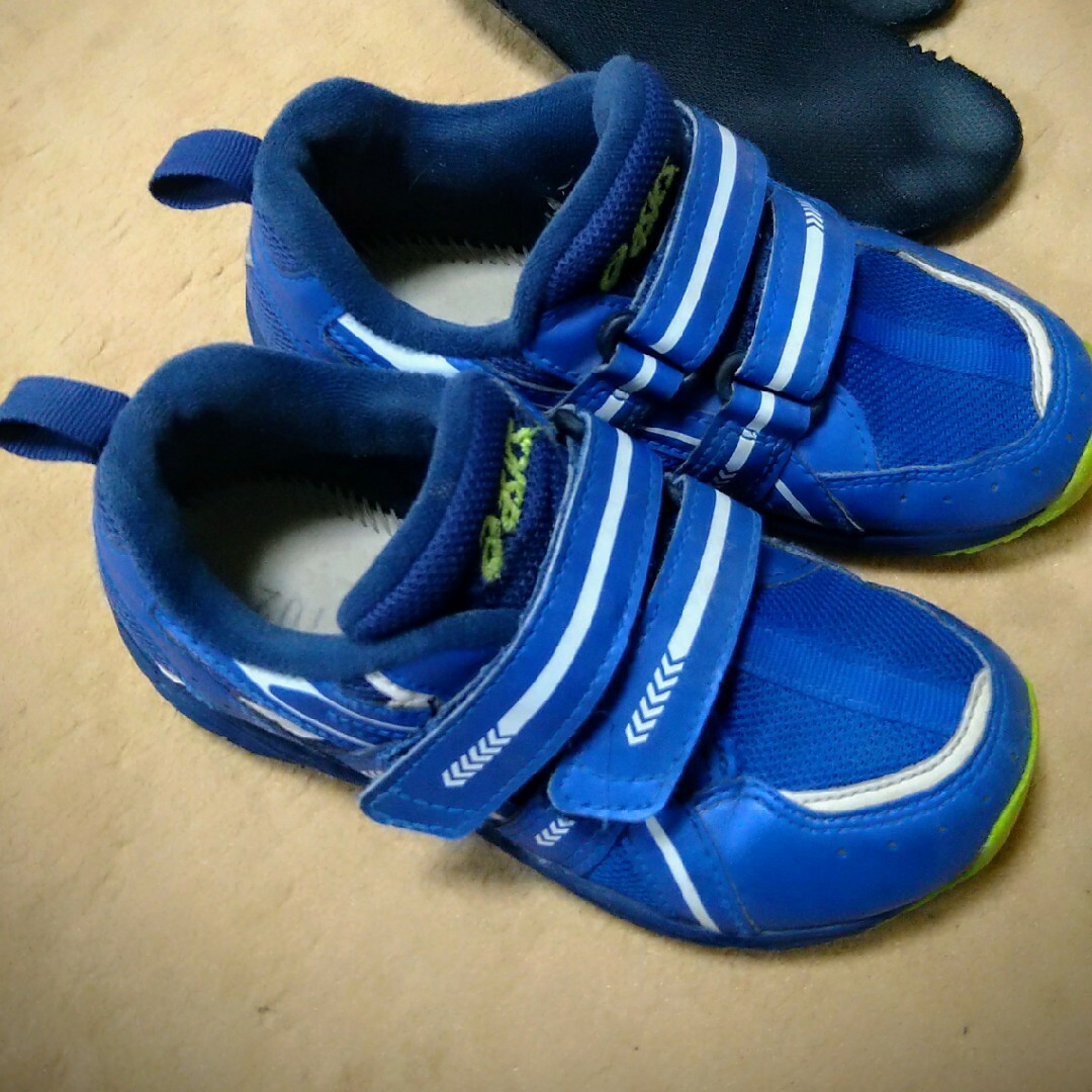 asics(アシックス)のasics　ナロー　スニーカー　ロイヤルブルー キッズ/ベビー/マタニティのキッズ靴/シューズ(15cm~)(スニーカー)の商品写真