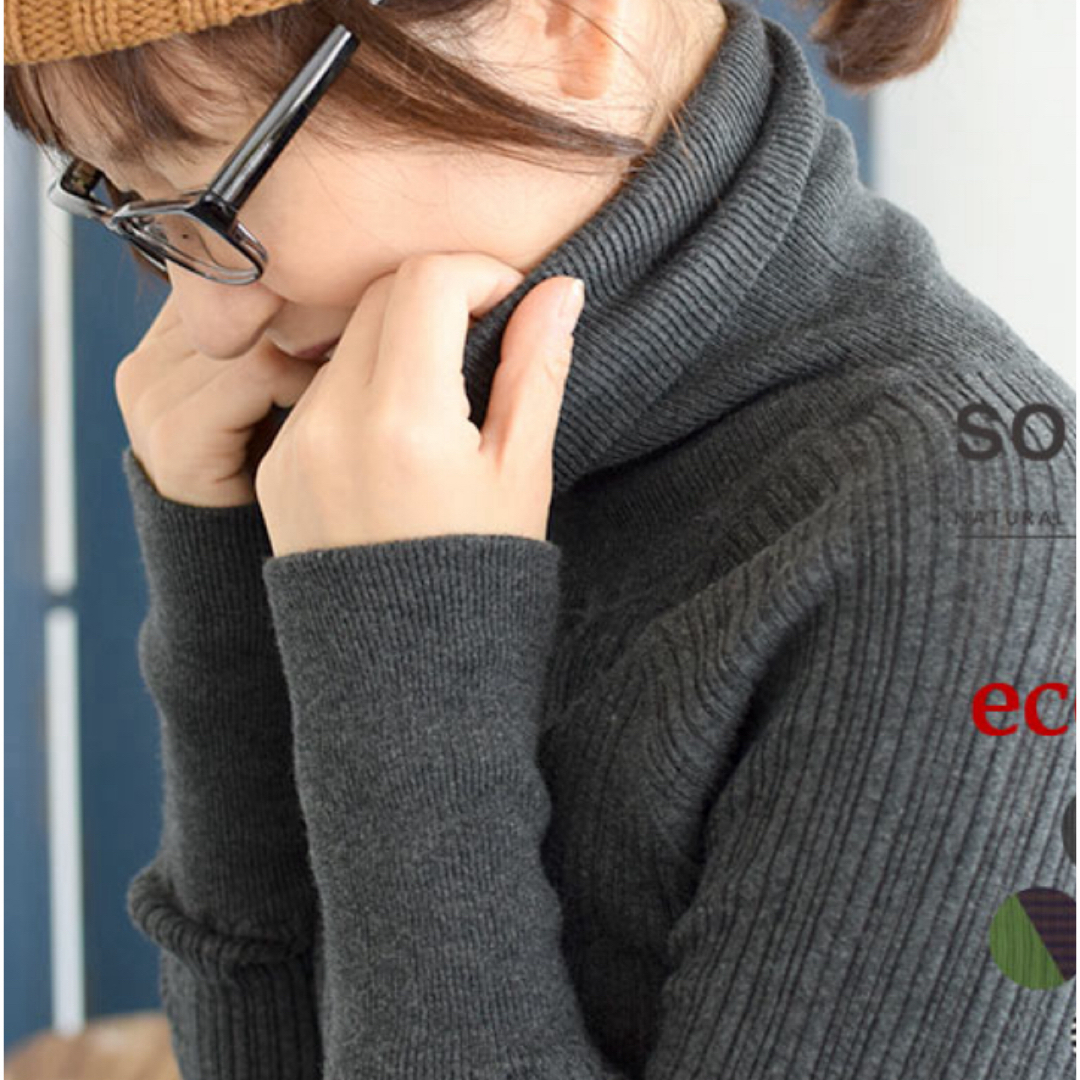 【ecoloco】ランダムテレコ　タートルネックカットソー レディースのトップス(ニット/セーター)の商品写真