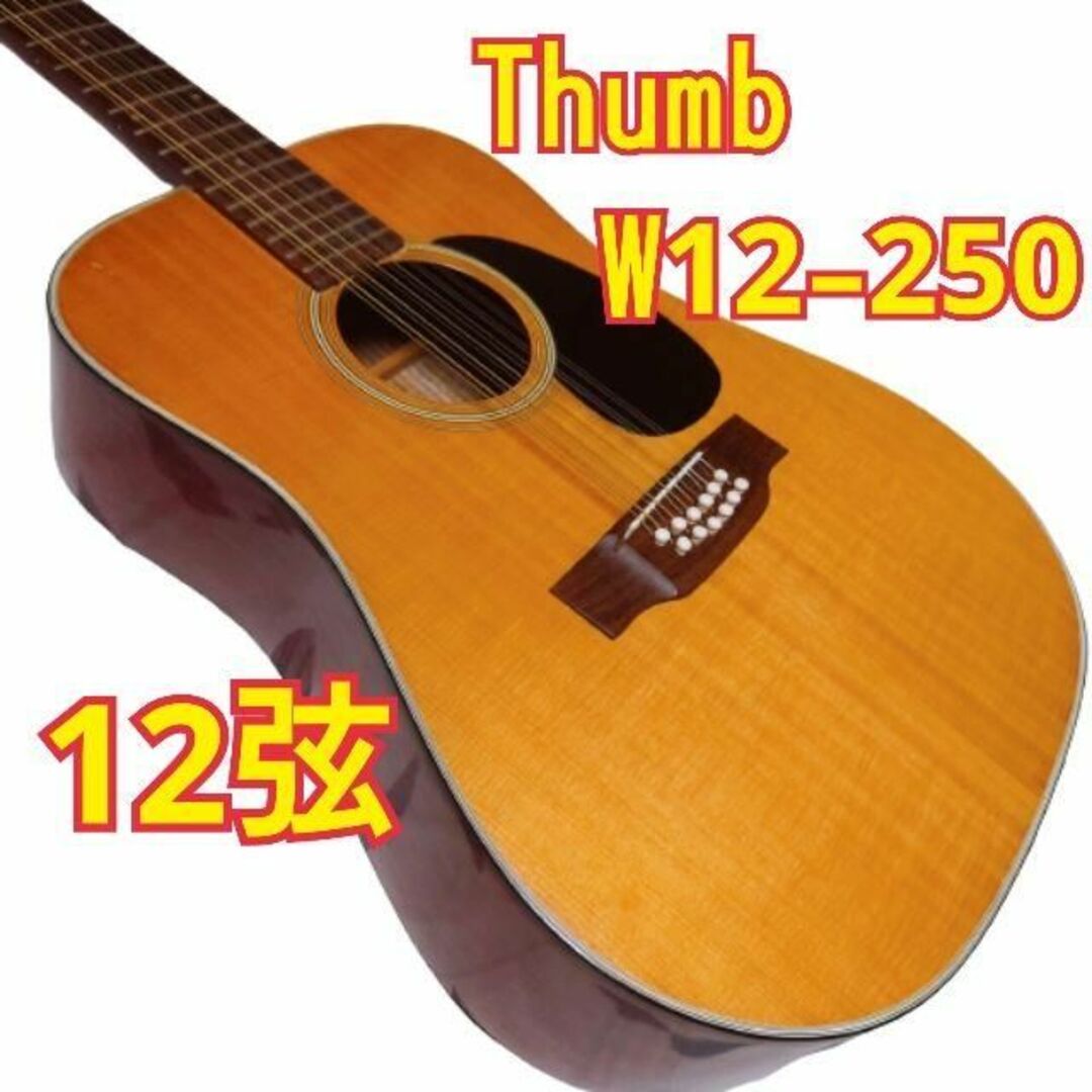 楽器《超希少12弦》 thumb W12-250 アコースティックギター 寺田楽器