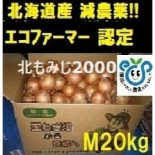 北海道産 玉ねぎ 20 kg M サイズ  北もみじ2000(野菜)