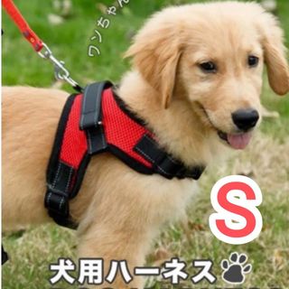 今だけ！期間限定価格⚡【Sサイズ】ハーネス 犬用品 レッド 赤 犬服 ペット服(リード/首輪)