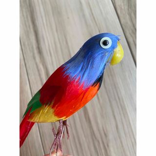 インコ　鳥　オウム　のオプジェ　置物　雑貨　インテリア　カラフル　②(置物)