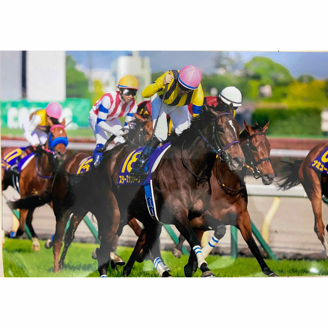 スターズオンアース 2022年優駿牝馬写真 エンタメ/ホビーの雑誌(趣味/スポーツ)の商品写真