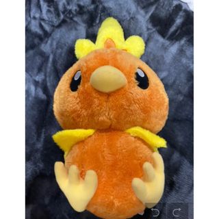 ポケモン(ポケモン)のポケモン アチャモぬいぐるみ(ぬいぐるみ)