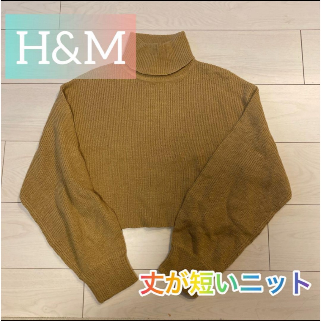 H&M(エイチアンドエム)の【オーストラリアH&M購入】 H&M ショート丈ニット レディースのトップス(ニット/セーター)の商品写真