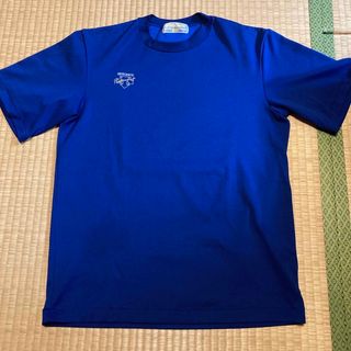 デサント(DESCENTE)のDESCENTE  Tシャツ　青(Tシャツ/カットソー(半袖/袖なし))