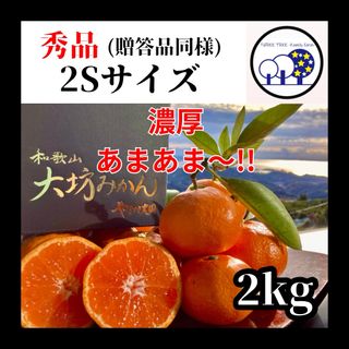 和歌山県田辺産宮川早生温州みかん「樹熟大坊みかん」秀品2Kg甘い蜜柑 ミカン(フルーツ)