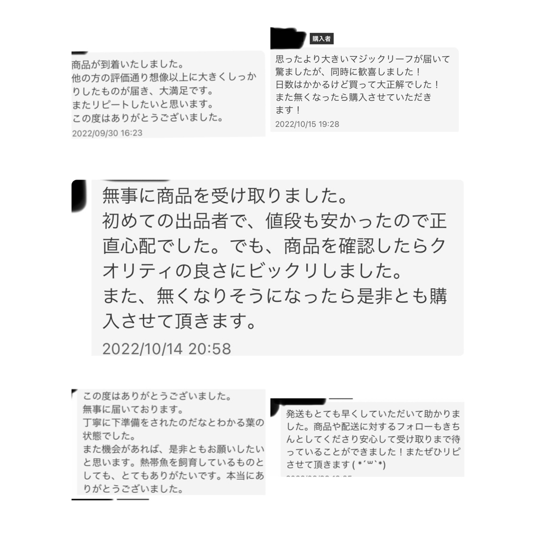 沖縄県やんばる産　マジックリーフ　120g 43〜50枚入　UV殺菌灯照射済み① その他のペット用品(アクアリウム)の商品写真