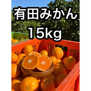 [大特価]有田みかん15kg!!訳あり品.農家直送..(フルーツ)