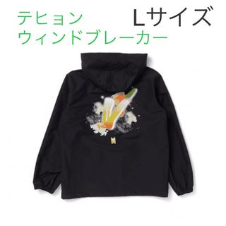 BTS VINTAGE RETRO WINDBREAKER テヒョン　Lサイズ