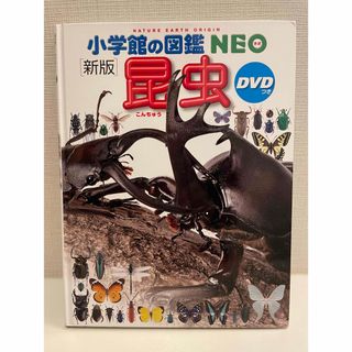 ショウガクカン(小学館)の小学館の図鑑NEO DVD付(絵本/児童書)