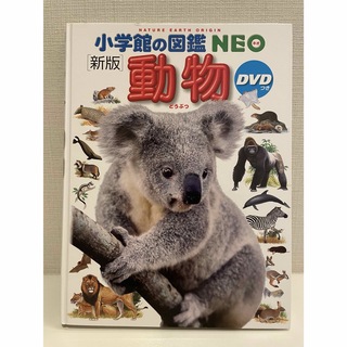 ショウガクカン(小学館)の小学館の図鑑NEO 動物　DVD付(絵本/児童書)