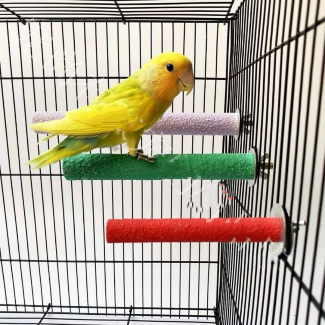 サンドパーチ　2本セット　20㎝　鳥　くちばし研ぎ　止まり木　インコ　爪研ぎ その他のペット用品(鳥)の商品写真