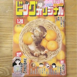 最新 1月20日号 ビッグコミックオリジナル(漫画雑誌)