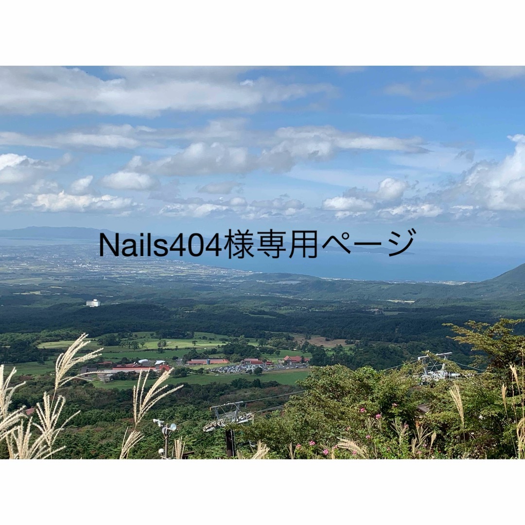 Nails404様専用ページ コスメ/美容のネイル(デコパーツ)の商品写真