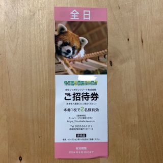 伊豆シャボテン動物公園　チケット(動物園)