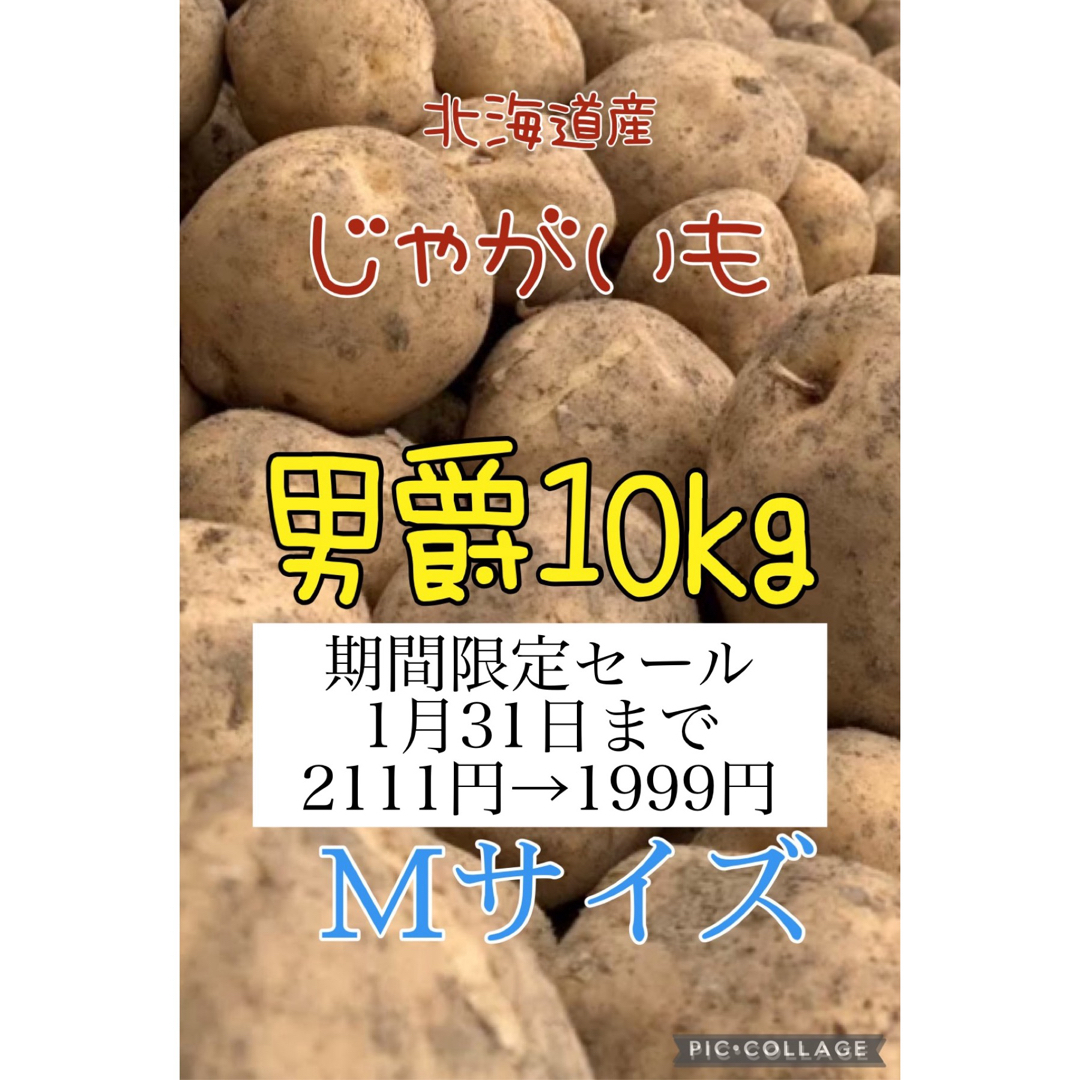 北海道産じゃがいも男爵10kg 食品/飲料/酒の食品(野菜)の商品写真