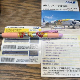 エーエヌエー(ゼンニッポンクウユ)(ANA(全日本空輸))のANA 株主優待券　グループ優待券(航空券)