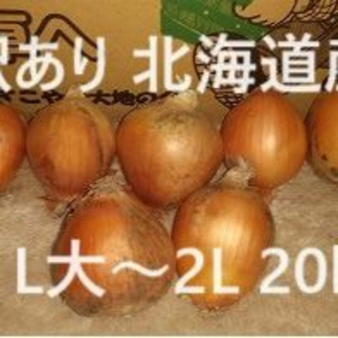 北海道産 訳あり北海道産 玉ねぎ 20kg　 L大～2Lサイズ込み  食品/飲料/酒の食品(野菜)の商品写真