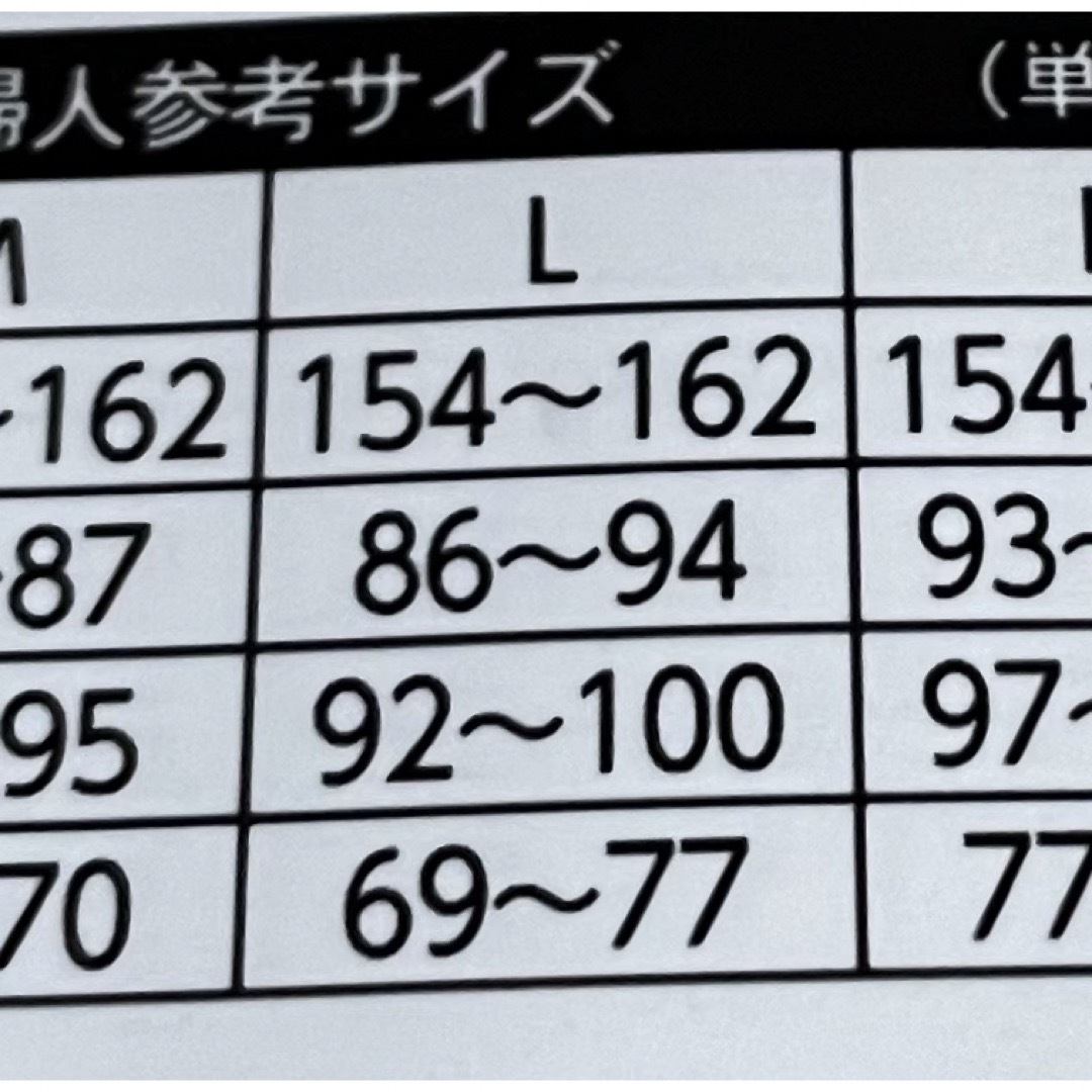 しまむら(シマムラ)のしまむら　ホカロン レディースのファッション小物(その他)の商品写真