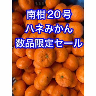 濃厚みかん　南柑20号　訳あり家庭用　愛媛産(フルーツ)