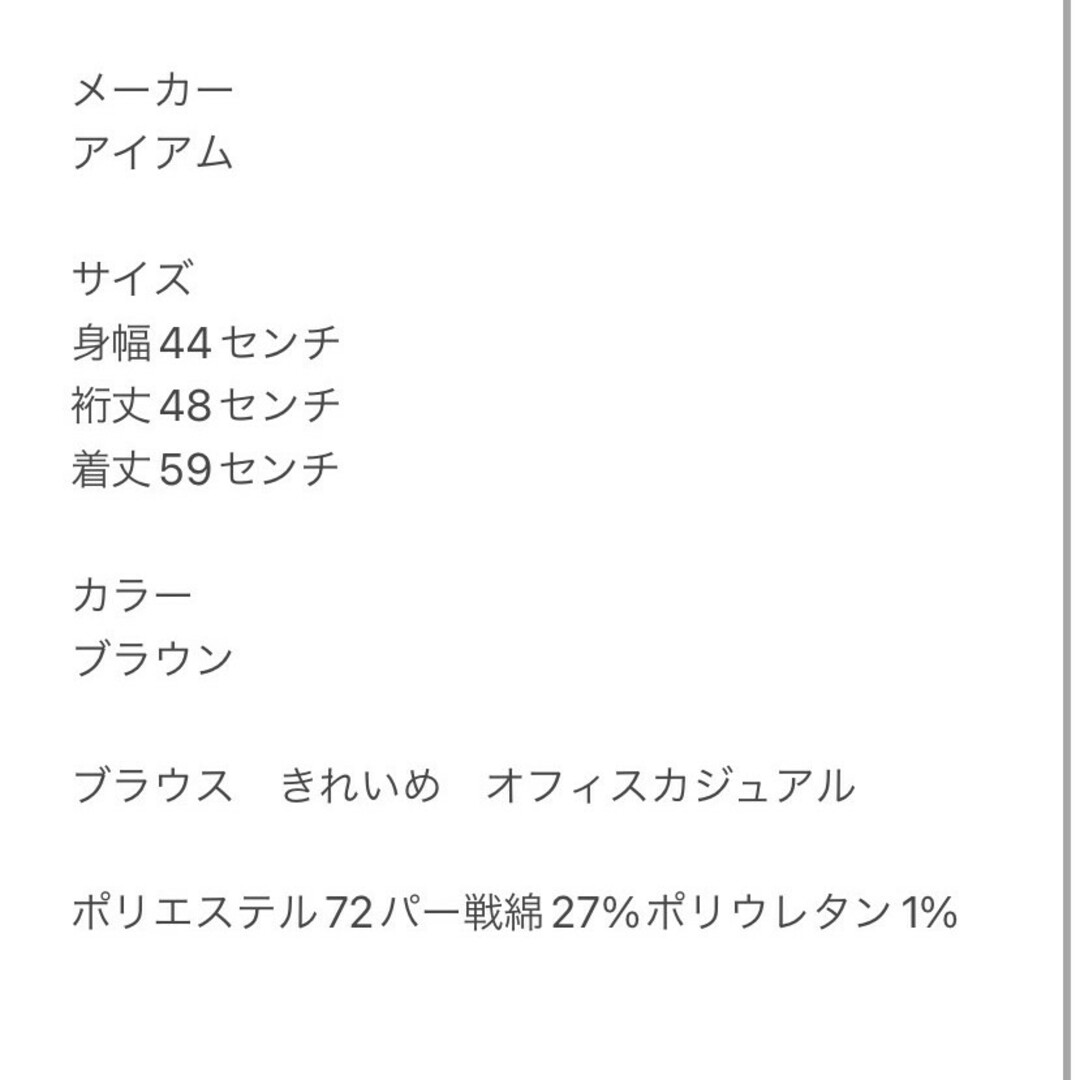 I_am　半袖ブラウス　F　ブラウン　きれいめ　オフィスカジュアル　ポリ　綿 レディースのトップス(シャツ/ブラウス(半袖/袖なし))の商品写真