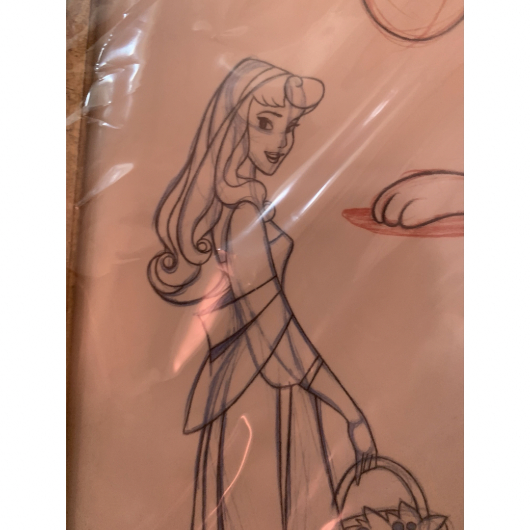 Disney(ディズニー)のディズニーシルクスクリーン　マークデイビス手書き希少‼️ エンタメ/ホビーの美術品/アンティーク(絵画/タペストリー)の商品写真