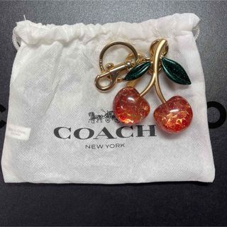 コーチ(COACH)のCOACH コーチ チェリー　アクセサリー　キーリング　キーホルダー(キーホルダー)