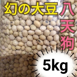 自然栽培 幻の大豆 『八天狗』5kg 熊本県産(野菜)