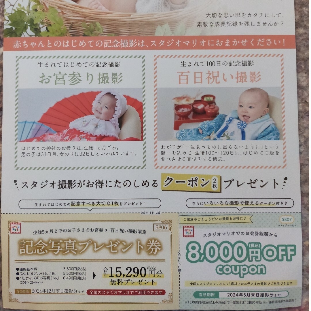 スタジオマリオ クーポン券 キッズ/ベビー/マタニティのメモリアル/セレモニー用品(アルバム)の商品写真