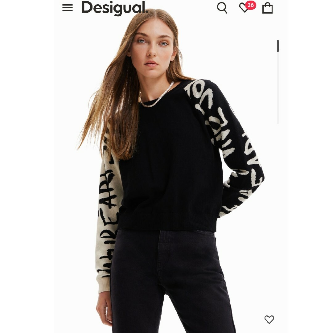 DESIGUAL(デシグアル)の新品　タグ付き　セーター　デシグアル レディースのトップス(ニット/セーター)の商品写真