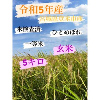 令和5年産　一等米　5キロ　宮城県登米市中田町産　ひとめぼれ　玄米(米/穀物)