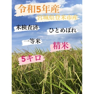 令和5年産　一等米　5キロ　宮城県登米市中田町産　ひとめぼれ　精米(米/穀物)