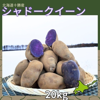 【備蓄】【20kg】北海道産　じゃがいも　シャドークイーン(野菜)
