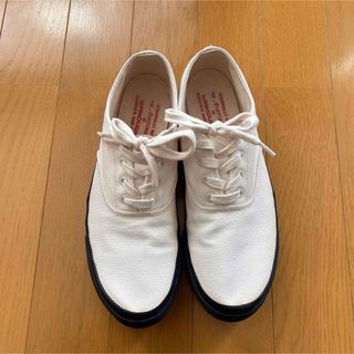 アナトミカ(ANATOMICA)のアナトミカAnatomicaスニーカーWakouwaワクワ(スニーカー)