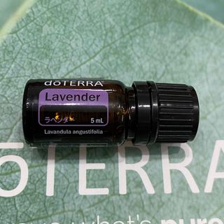 ドテラ doTERRA  ラベンダー 5ml エッセンシャルオイル(その他)