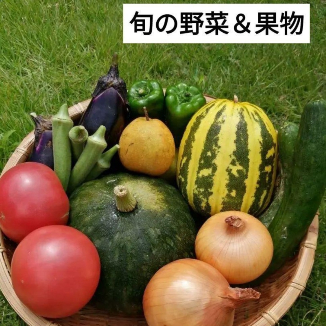 有田みかん(アリダミカン)の旬の野菜＆果物、厳選大玉(有田みかん・蔵出しみかん)、デコポン不知火 食品/飲料/酒の食品(フルーツ)の商品写真