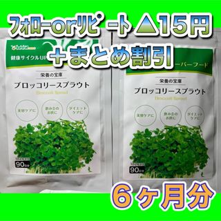【2袋@1270 計2540】ブロッコリースプラウト★シードコムス(その他)