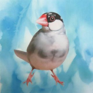 【ゆきちゃん限定】X1413-1　パイド文鳥　水彩ブルー　パネル　No385(生地/糸)