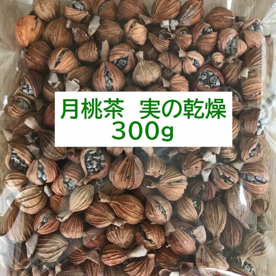 【石垣島産】 月桃茶・実の乾燥　３００ｇ 食品/飲料/酒の飲料(茶)の商品写真