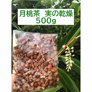 【石垣島産】 月桃の実・乾燥　５００ｇ(茶)