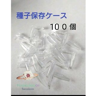 種子 花粉 保存容器 キャップ付き 100個 エケベリア リトープス(その他)