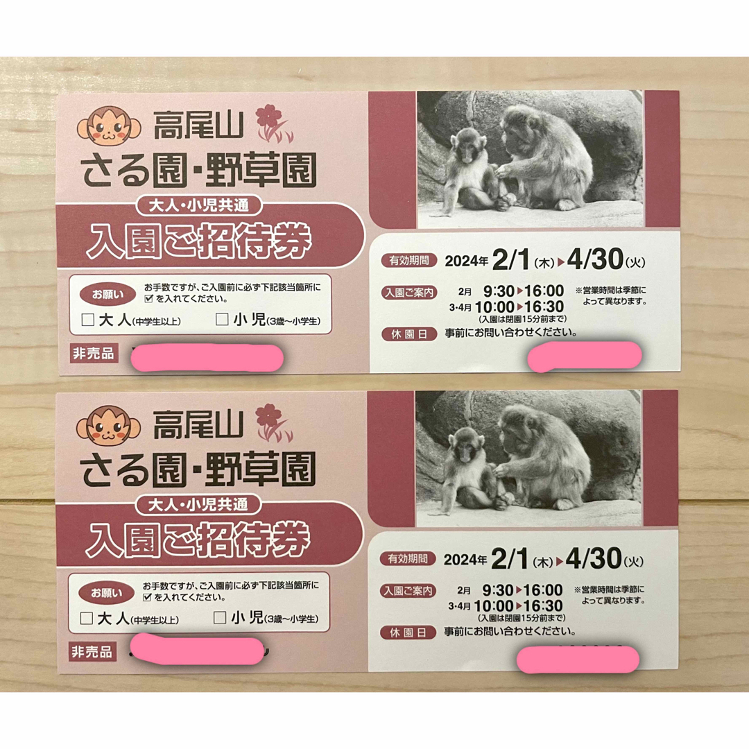 高尾山 さる園・野草園 入園ご招待券 2枚 チケットの施設利用券(その他)の商品写真