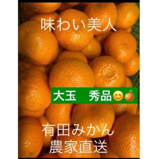 有田みかん農家直送ブランド味わい美人大玉秀品箱込み10キロ(フルーツ)